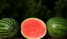 菌主吃瓜,揭秘网络红人的幕后故事