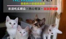 叶小喵啦视频吃瓜