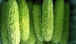 南宁吃瓜记录,吃瓜记录里的风味地图