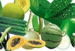 吃瓜宝,网络红人的崛起与影响力