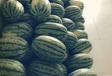 吃瓜建立的友谊,从吃瓜到深厚的友谊