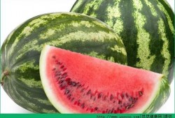 痛风可以吃甜角瓜吗,甜角瓜的适宜摄入与痛风管理