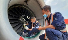 吃瓜飞机群,网络社交新现象背后的故事