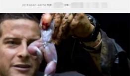 吃瓜只吃心 极限挑战,揭秘极限挑战背后的趣味与温情