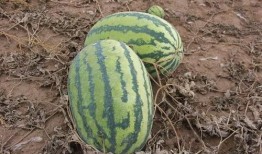 小欢吃瓜,揭秘娱乐圈那些不为人知的幕后故事