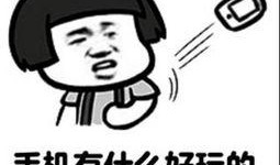 没有结局吃瓜群众,吃瓜群众的围观之旅