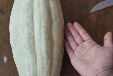 吃的瓜有毒,如何辨别与防范