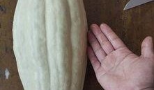 吃的瓜有毒,如何辨别与防范