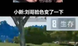 老马吃瓜骗局视频播放,视频播放背后的真相曝光