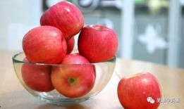 小森苹果吃瓜,趣味横生的夏日时光