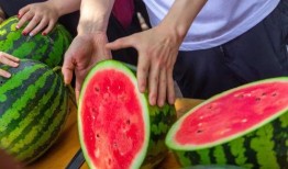 吃瓜选手名称,网络红人的崛起与影响力