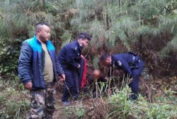 三旬老汉爬树吃瓜,岁月静好，闲情逸致的生活剪影