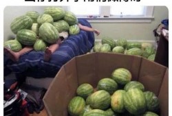 全国吃瓜大赛,瓜界盛宴，全民狂欢瞬间回顾