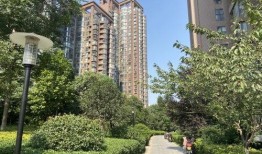 郑州银基王朝 吃瓜,揭秘网红打卡地的幕后“吃瓜”故事