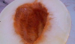 吃伊丽莎白瓜沙嘴,伊丽莎白瓜的甜蜜诱惑