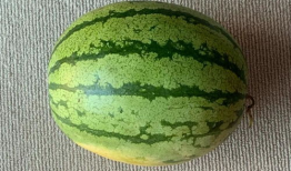 吃瓜最多的省,揭秘吃瓜最多的省份之谜”