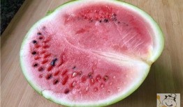 冰之王夏日吃瓜,创意吃瓜盛宴