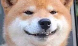 怒火吃瓜,揭秘网络暴力背后的真相