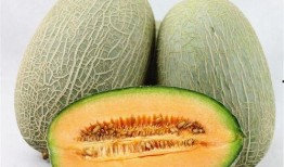 冬天吃哈密瓜,冬日暖阳下的哈密瓜盛宴