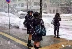 电报加吃瓜裙,揭秘社交新潮流