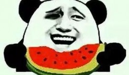 吃瓜n.,网络时代的围观文化现象