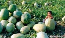 二顺吃瓜,揭秘娱乐圈背后的那些事儿