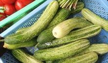 儿时吃的瓜,那些儿时记忆中的美味瓜果